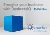 BusinessIQ