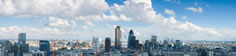 Managing Commercial Credit
