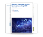 Harness the power of data to drive marketing ROI