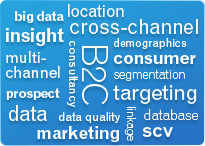 Consumer marketing services
