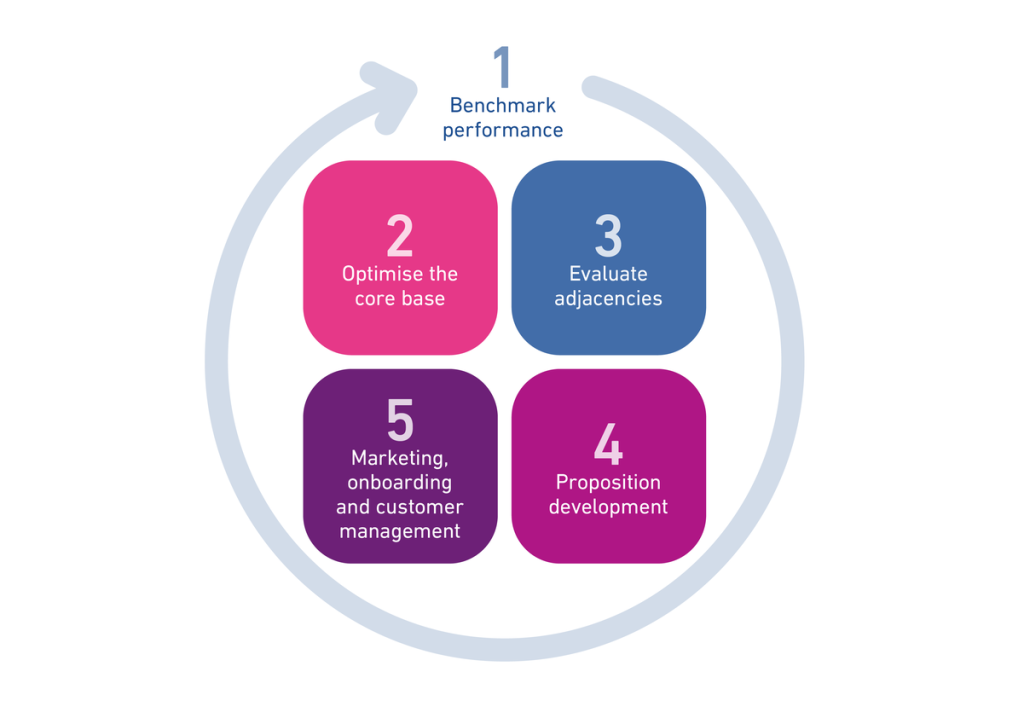 Infographic showing the five considerations for growth, such as optimise the core base and evaluate adjacencies