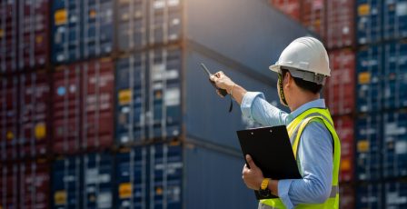 Side View Of Engineer Pointing While Working At Shipping Yard