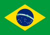 Brazil International Credit Check Report