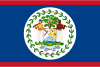 Belize International Credit Check Report
