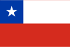 Chile International Credit Check Report