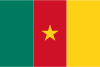 Cameroon International Credit Check Report