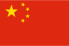 China International Credit Check Report