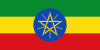 Ethiopia International Credit Check Report
