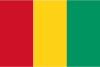 Guinea International Credit Check Report