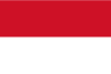 Indonesia International Credit Check Report