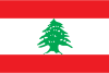 Lebanon International Credit Check Report
