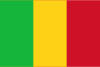 Mali International Credit Check Report