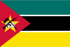 Mozambique International Credit Check Report