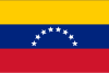 Venezuela International Credit Check Report